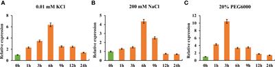 Wheat potassium transporter TaHAK13 mediates K+ absorption and maintains potassium homeostasis under low potassium stress
